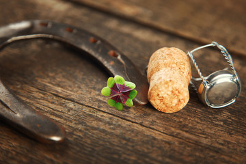 Hufeisen bringt Glück!