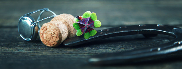 Hufeisen bringt Glück!