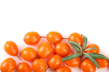 Sea buckthorn. Fresh ripe berry with leaves isolated on white background with copy space for your text. Top view. Flat lay pattern