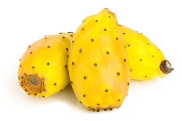 yellow prickly pear or opuntia isolated on a white background