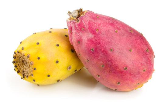 red end yellow prickly pear or opuntia isolated on a white background