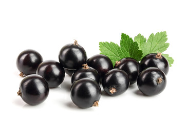 black currant with leaf isolated on white background