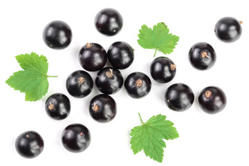 black currant with leaves isolated on white background. Top view. Flat lay pattern