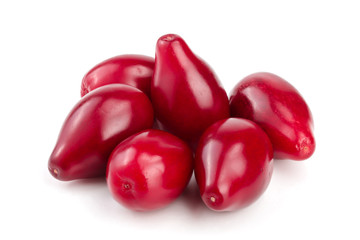 Red berries of cornel or dogwood isolated on white background