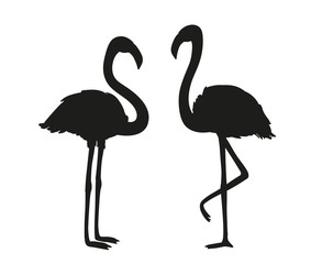 Flamingos. Cartoon birds. Image for polygraphy, t-shirts and textiles. Black and white illustration