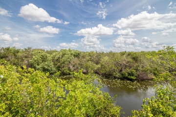 everglades national park