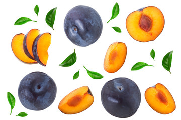 plums with leaf isolated on a white background. Top view. Flat lay pattern