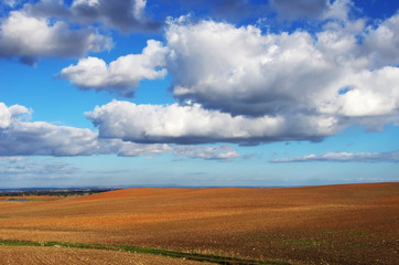 Obraz premium landscape of alentejo field, south of Portugal