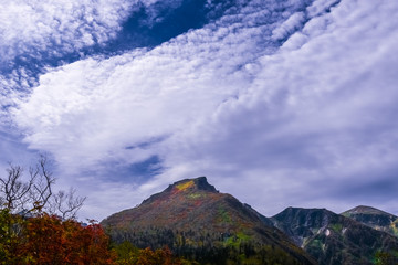 Fototapeta premium 日本、北海道、大雪山、黒岳と紅葉、雄大な自然と絶景、秋