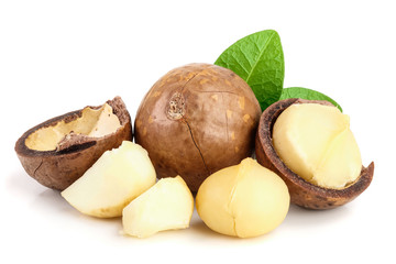 Shelled and unshelled macadamia nuts with leaves isolated on white background