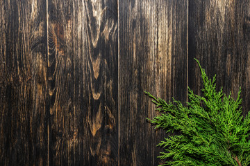 Fir branches on a dark vintage wooden background