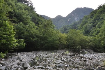 用木沢の河原