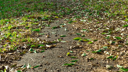 sidewalk