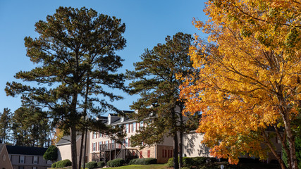 Naklejka premium house view 