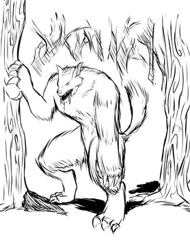 Illustration of Werewolf