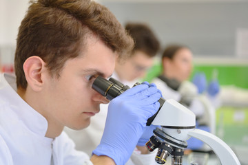 Group of Laboratory scientists working at lab with test tubes and microscope test or research in clinical laboratory.Science, chemistry, biology, medicine and people concept.