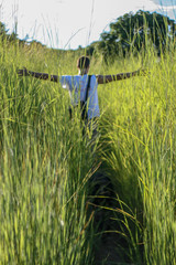man in elephant grass