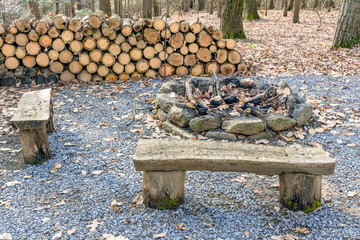 two benches, woodpile and old hearthstone in autumn forest