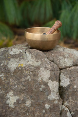 Tibetan singing bowl for the practice of meditation stands on a stone against the background of blurred Himalayan pine. Portrait orientation.