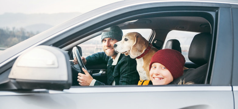 Father and son Family traveling by car with beagle dog. They are smiling to camera fixed with safety belts.
