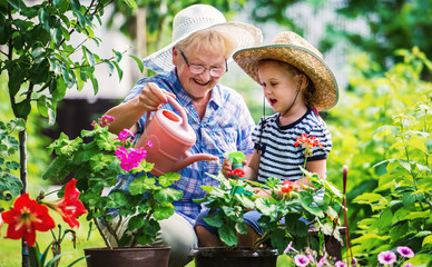 Gardening with a kids. Senior woman and her grandchild working in the garden with a plants. Hobbies...