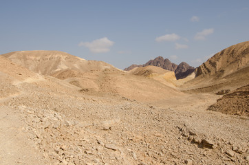 Wüste