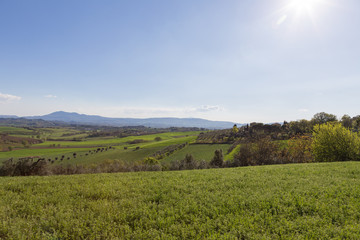 Fototapeta premium Green hills swaying with soft Umbre lines