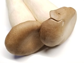Two king oyster mushrooms on a white background