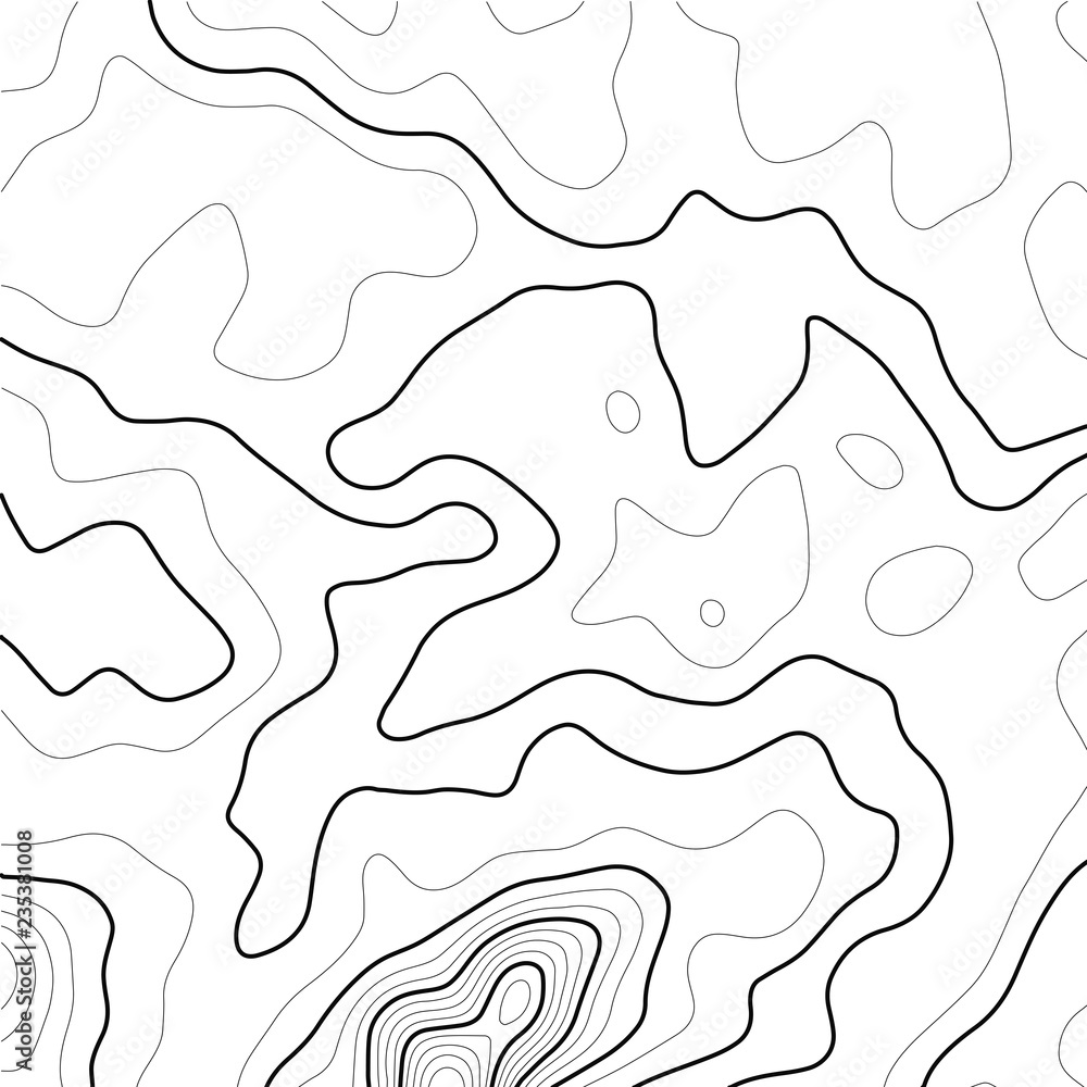 Poster topographic map background concept. topo contour map. geographic world topography map grid. line top