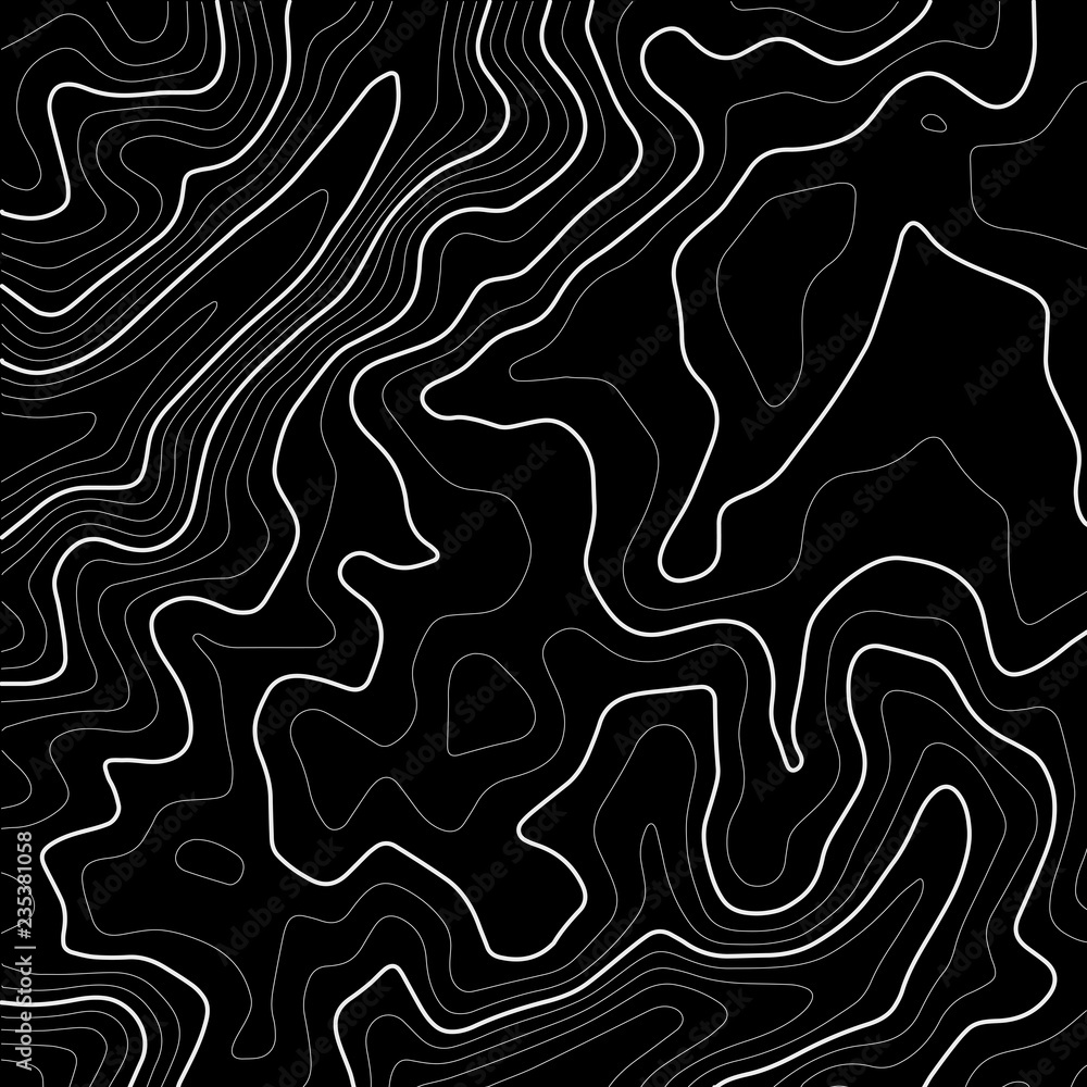 Poster topographic map background concept. topo contour map. geographic world topography map grid. line top