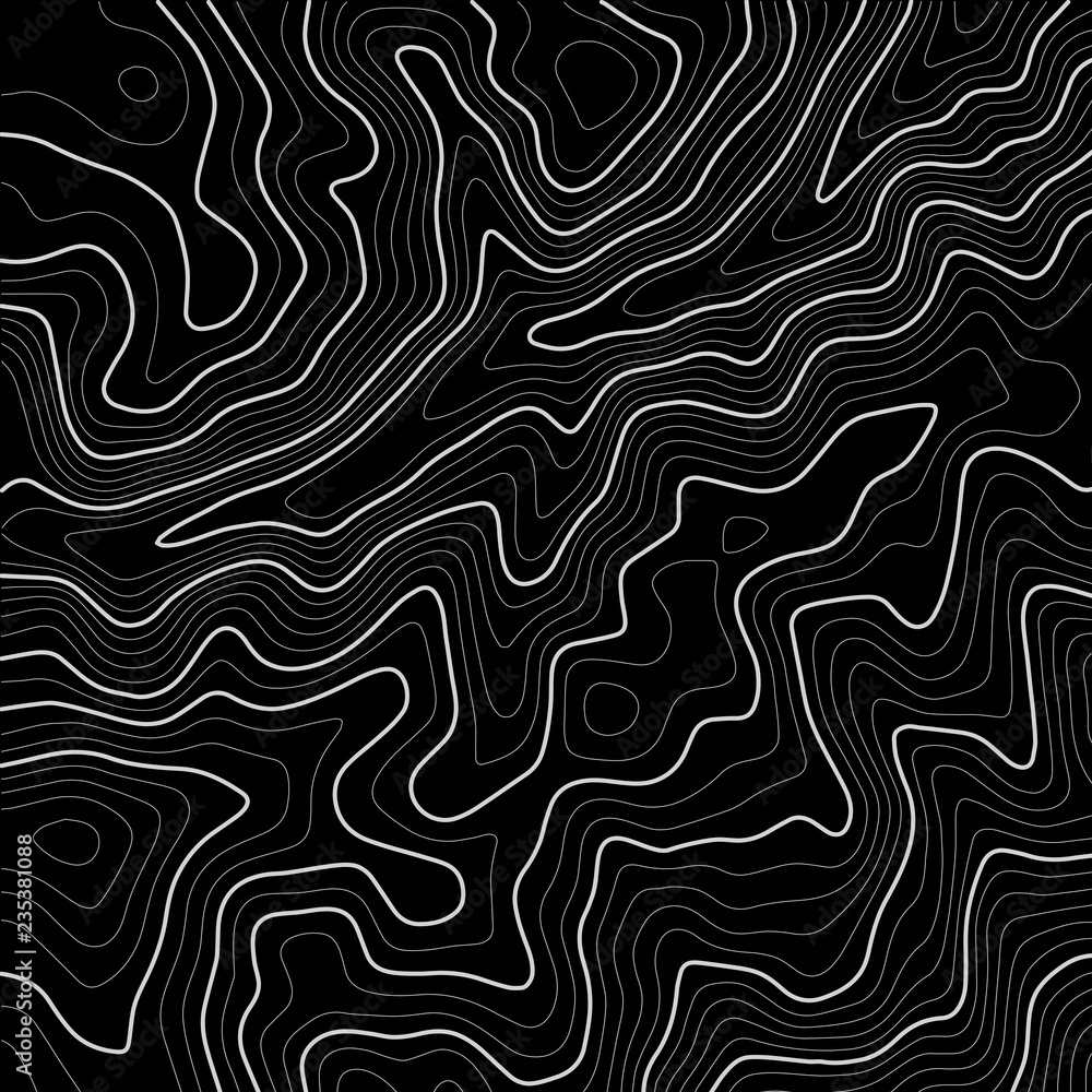 Poster topographic map background concept. topo contour map. geographic world topography map grid. line top