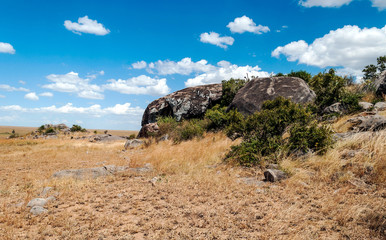 Ngorogoro Valley in Tanzania