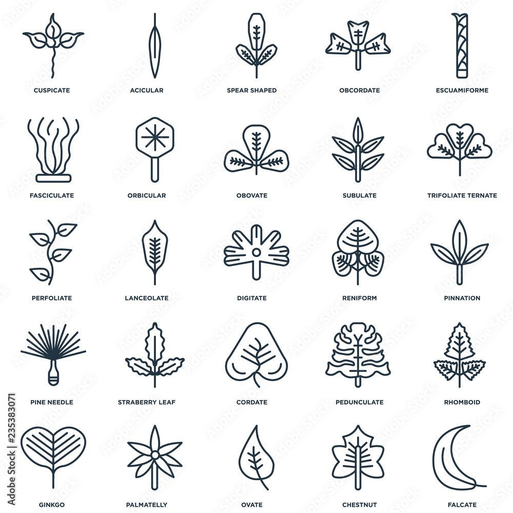 Poster set of 25 universal editable icons. includes elements such as fa