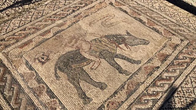 Mosaic of the Roman ancient ruins of the Volubilis city in UNESCO, Morocco in Africa