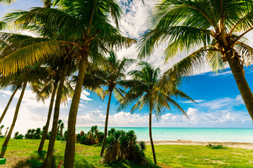 pretty, nice amazing natural landscape view of Varadero Cuban beach and tranquil, turquoise ocean on blue sky background, tropical garden, sunny day 