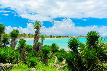 Fototapeta na wymiar beautiful amazing great natural landscape view of Varadero Cuban beach and tranquil, turquoise ocean on blue sky background, tropical garden, sunny summer day