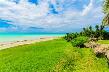 Varadero, Cuba, gorgeous, beautiful inviting view from tropical garden on Cuban Varadero beach, tranquil turquoise tender ocean against blue sky background with fluffy white clouds on sunny summer day