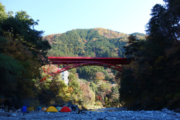 紅葉の中でキャンプ