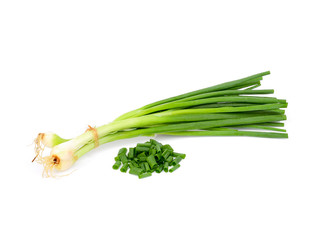 Obraz premium green onion isolated on white background