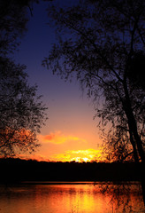 Dark sunset on the lake with branches silhouette