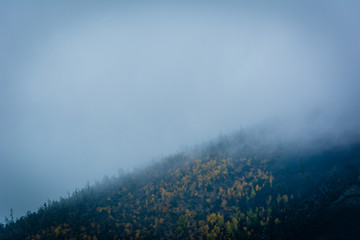 moody, misty hillside in themountains in fall