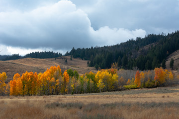 Idaho hills in autumn