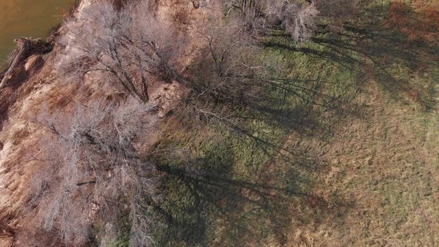 Trees by a field and river