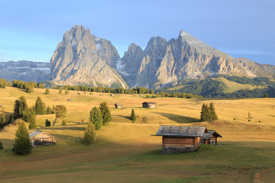 Alpe di Suisi - Dolomites - Italie