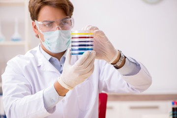 Young chemist working in the lab 