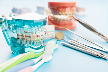 orthodontic model and dentist tool - demonstration teeth model of varities of orthodontic bracket...