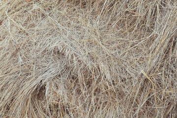 dry straw background