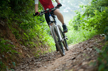 Fototapeta na wymiar Cyclist legs riding Mountain Bike on forest trail