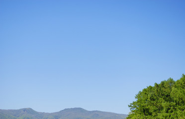 木　山　空　素材