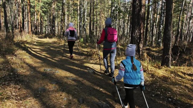 Woman do Nordic walking in nature. Girls and children use trekking sticks and nordic poles, backpacks. Family travels and goes in for sports. Kid is learning from mother and grandmother the proper